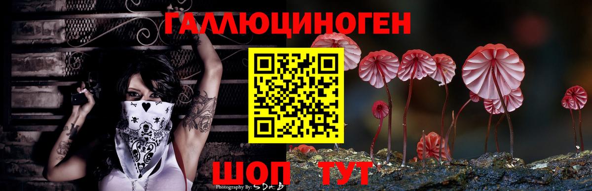 Нижнеудинск  Галлюциногенные грибы Psilocybine cubensis  Вход с VPN  Псилоцибиновые грибы прущие грибы 